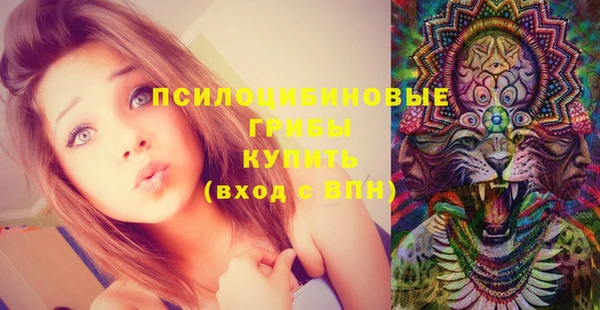шишки Алексеевка