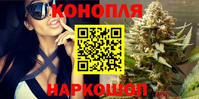 гашиш Новодвинск