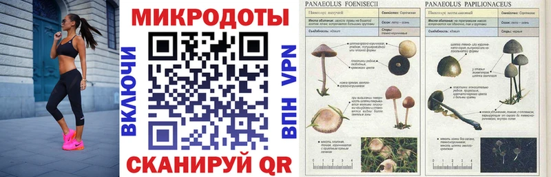 Псилоцибиновые грибы GOLDEN TEACHER  МЕГА ONION  Киржач 