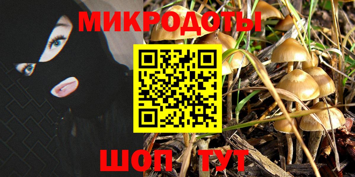 Псилоцибиновые грибы Psilocybe  Вход с VPN  Киржач 